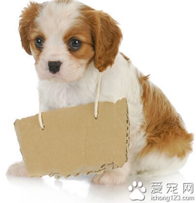 篮球比赛赛前一周训练计划_2